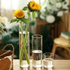 6.5x6/8/10/15/18cm Glass Flower Vase For Centerpieces Clear Cylinder Vase Glass Candle Holder For Small Tealight Candles 3