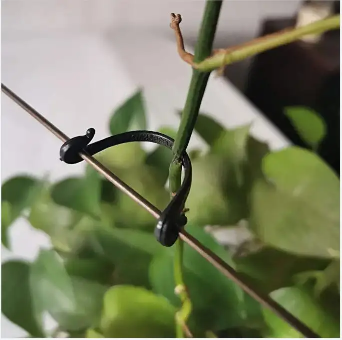 Plant Vine Binding Clip Fixing Clip Gardening Plant Support Climbing Vine Sticky Wall 100pcs