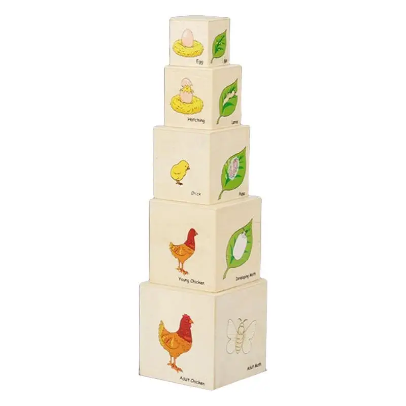 

Life Cycle Toys For Kids Life Cycle Stacking Toys Stacking Blocks Kids Figure Match Set Toy Stacking Block Sets Educational &