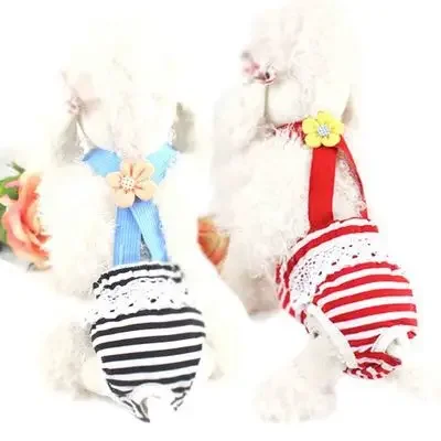 TB1NOMKRVXXXXc5XXXXXXXXXXXX_!!