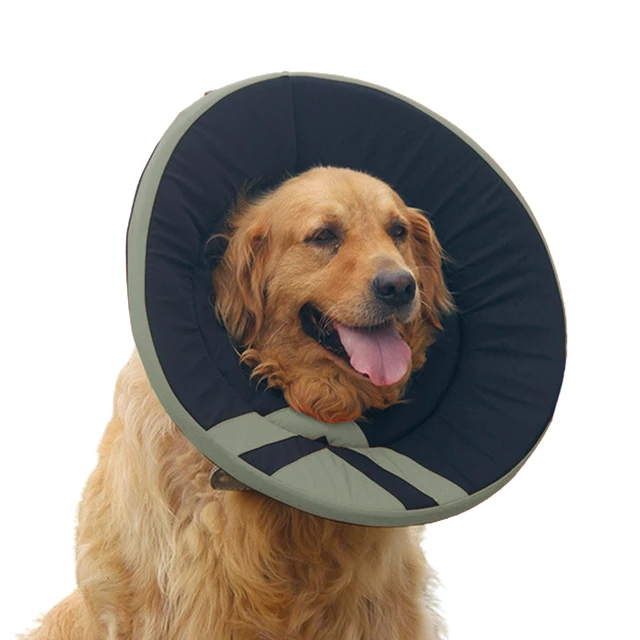 Dog Donut Cone Petsmart informacionpublica.svet.gob.gt