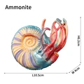 Ammonite
