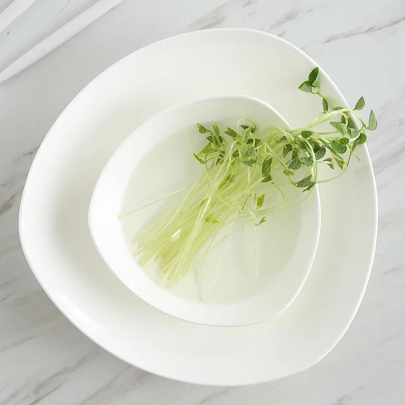 5 Inch, Plain White Bone China Saucers, Ceramic Plates, Small Sushi Dishes, Porcelain Cake Plate, Microwave Safe, Triangular