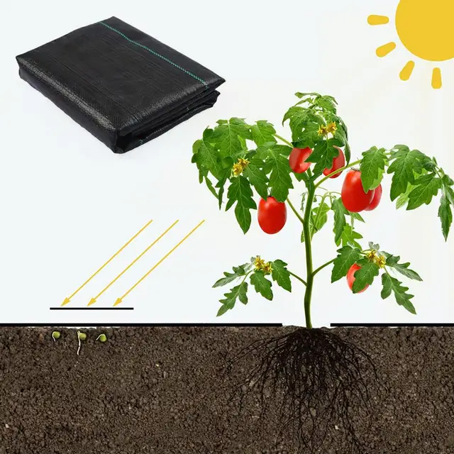 Kiváló Minőségű Gyomnövényes Ruhadarab, Könny-Rezisztens Táj, Szövött Szövet, Grass Szőnyeg A Kerti Úthoz - Image 2