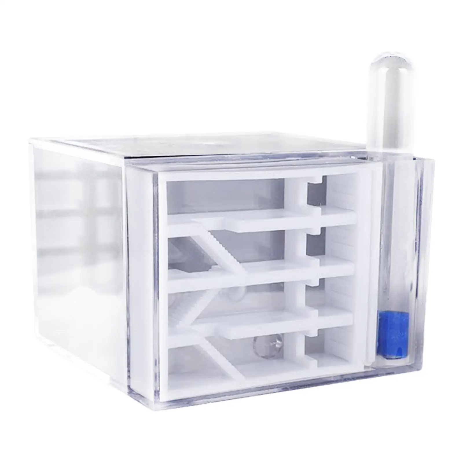 ANT Farm DIY Supplies Funny Toys Study ANT Habitat ANT Nest for Childrens Day Gift Decoration Tabletop Science Observation ANT Farm DIY Supplies Funny Toys Study ANT Habitat ANT Nest for Childrens Day Gift Decoration Tabletop Science Observation