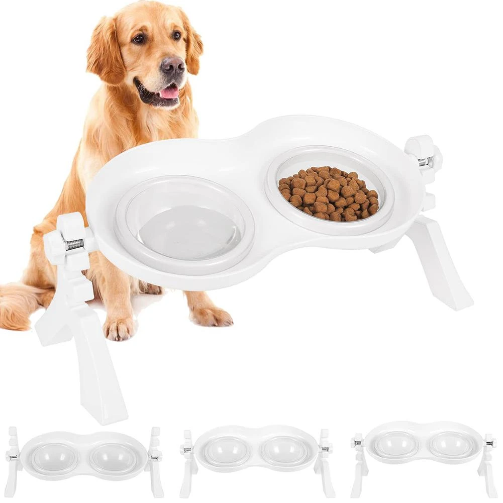 Should You Raise Your Dogs Food Bowl