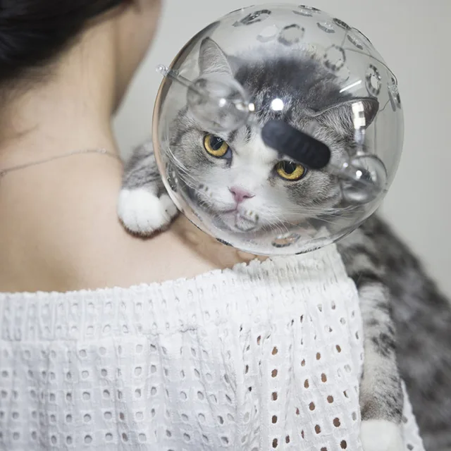 Transparent Space Cat Headcover - Breathable Pet Cat Mask, Anti-Scratch & Anti-Bite, Comfortable for Cats, 5