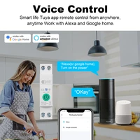 1-63A 1P+N Tuya WiFi Smart Circuit Breaker Switch Kwh Metering Timer Relay MCB Voltage Current Protect Alexa Google Home Alice - Image 3