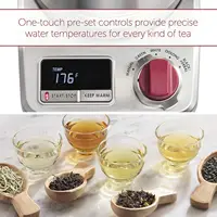 True Temperature Electric Kettle, 1.5 Liter Capacity 2