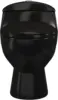 Chateau One-Piece Elongated Toilet Dual-Flush in Glossy Black 1.1/1.6 gpf Soft-Close Quick-Release Toilet Seat 2