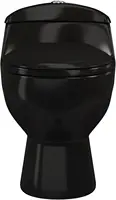 Chateau One-Piece Elongated Toilet Dual-Flush in Glossy Black 1.1/1.6 gpf Soft-Close Quick-Release Toilet Seat 2