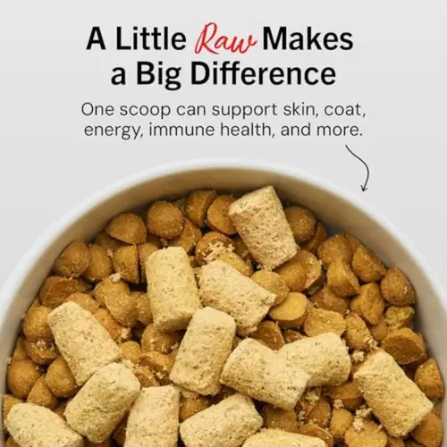 Freeze-Dried Raw Beef Meal Mixers- Dog Food Topper and Mixer - Made with 95% Grass-Fed Beef Organs and Bone - Perfect for Picky - Image 2