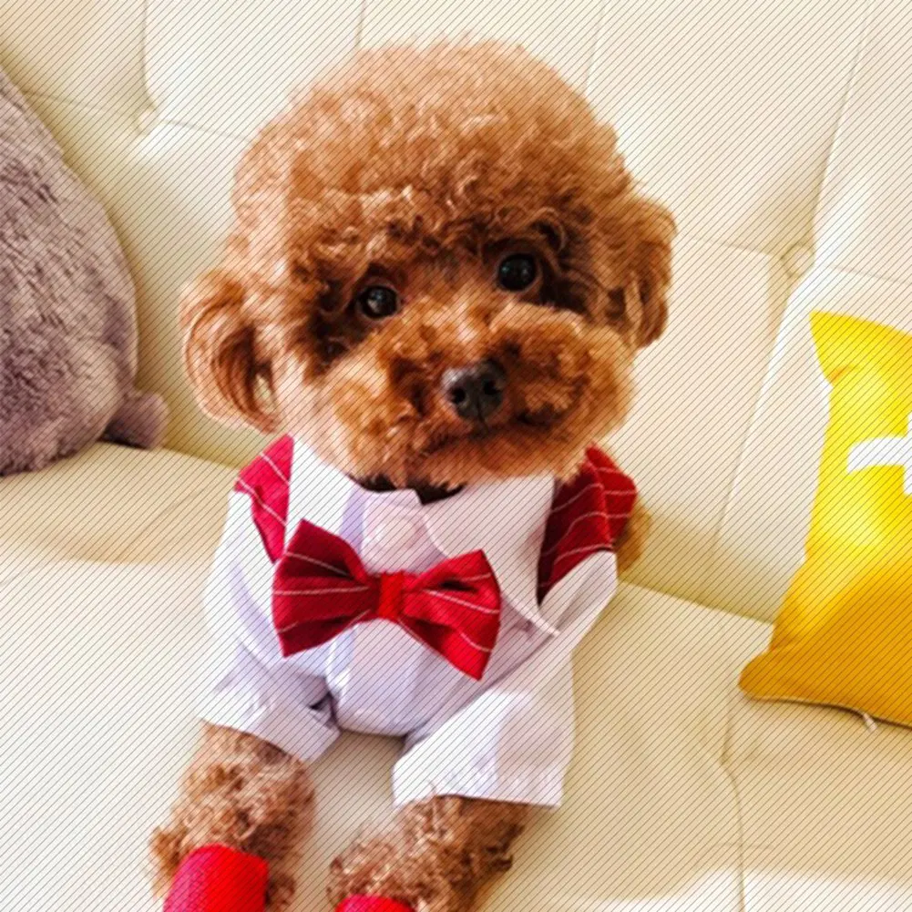 Dog Costume Set Dog Bow Tie Dress Dog Tuxedo Pet Four Seasons Wear British Style Bow Tie Suit Cholthes Button Suit Clothing
