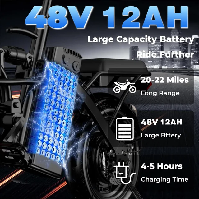 Folding Electric Bike 500W 3