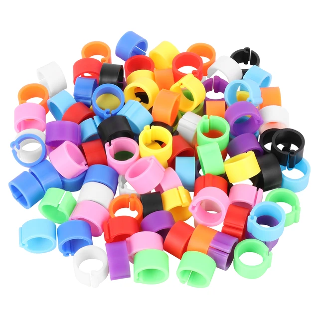 Furbabies 100Pcs 2021 Aluminium Bird Dove Racing Pigeon Leg Rings Bands  Multicolor : Amazon.in: Jewellery