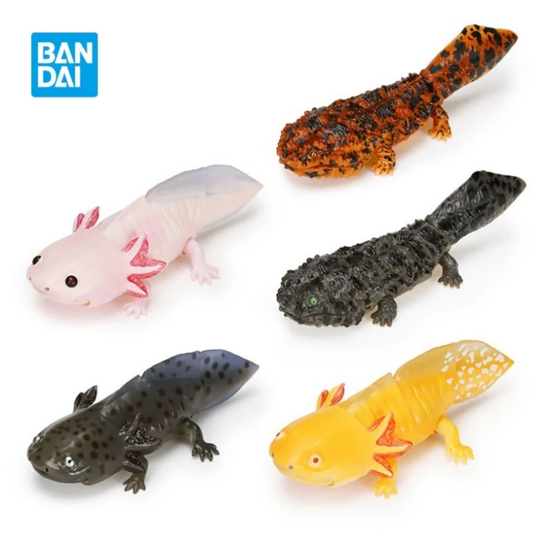 

Bandai The Diverysity of Life on Earth Giant Salamander Salamander Mobile Simulation Amphibian Handmade Ornaments