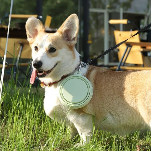 2pcs Collapsible Pet Silicone Dog Food Water Bowl Outdoor Camping Travel Portable Folding Supplies Dishes with Carabiner 5