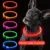 LED Light-Up Dog Collar: USB Rechargeable Luminous Night Safety Collar 1