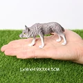 Wolf -6
