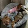 Dog Clothes Hoodies The Dog Face Wind Coat Warm for Small Large Dogs Jacket Sweatshirt French Bulldog Jacket Clothing 2