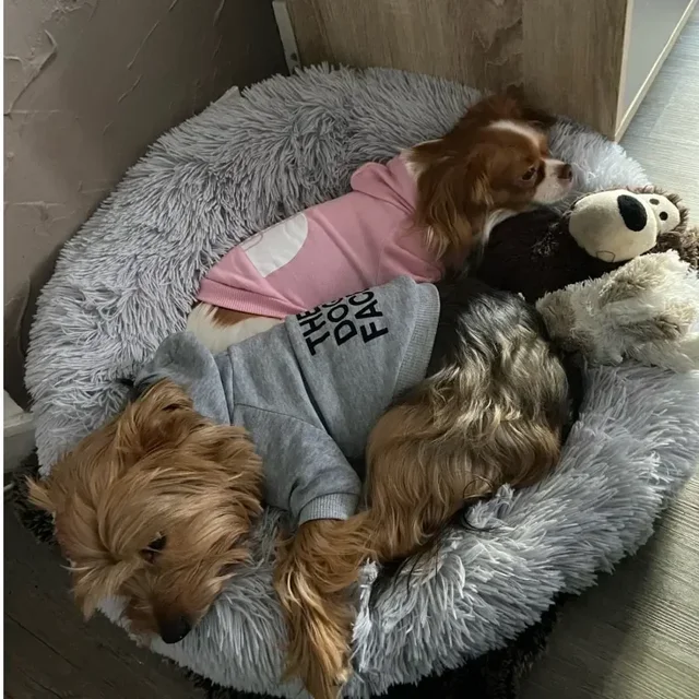 Dog Clothes Hoodies The Dog Face Wind Coat Warm for Small Large Dogs Jacket Sweatshirt French Bulldog Jacket Clothing 2