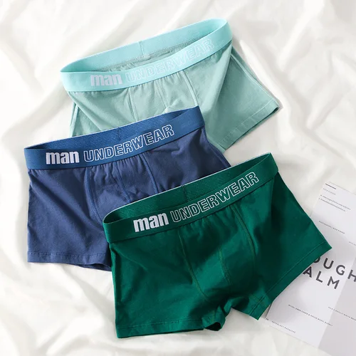 남성용 복서 속옷, 남성용 면 속옷, 편안한 팬티, 반바지, 고품질, 통기성 패션, 복서 반바지 2