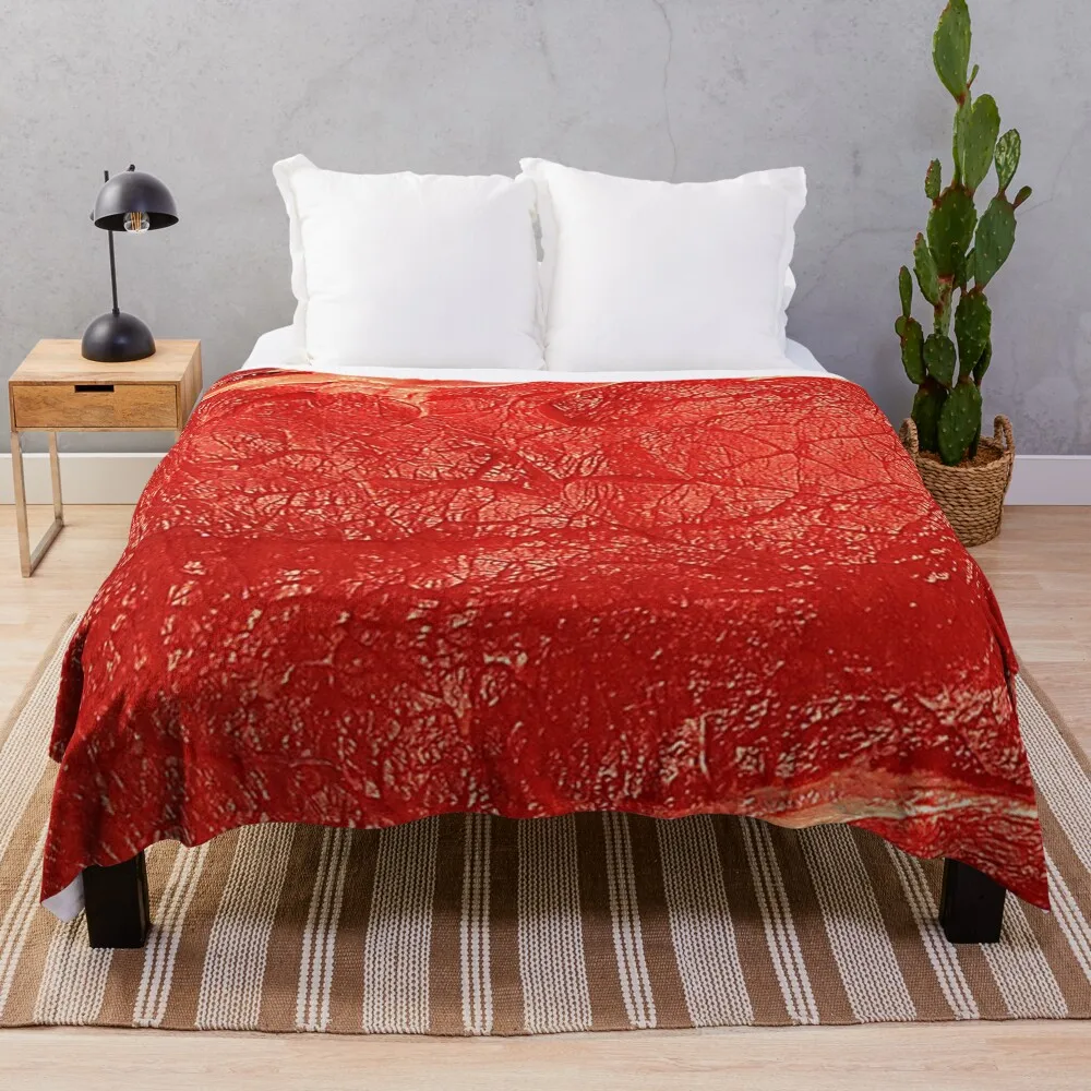 

STEAK 9 Throw Blanket Warm Extra Large Throw Blankets