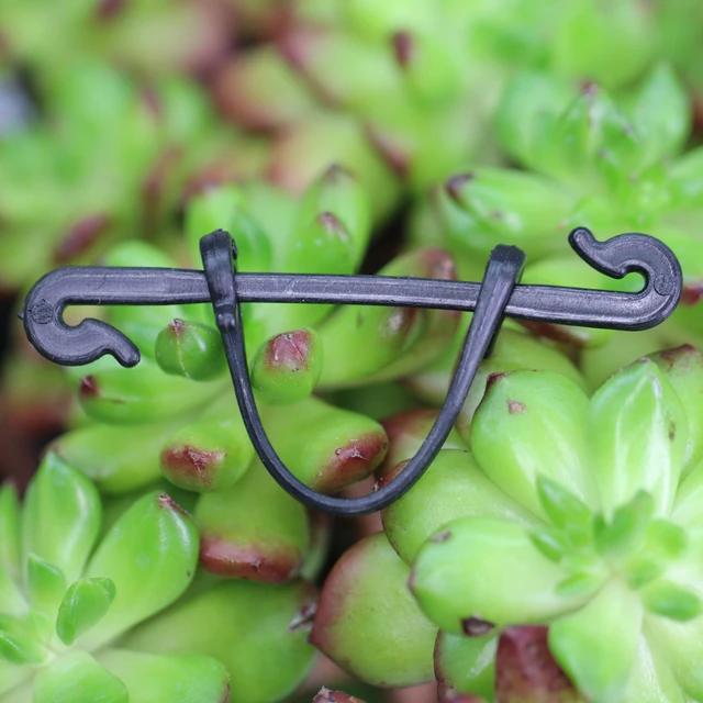 200-800 Pcs Garden Plants Vines Fixed Clips Tied Buckles Lashing Hook Kiwi Grape Cucumber Tomato Stems Fastener Gadgets Grafting 6