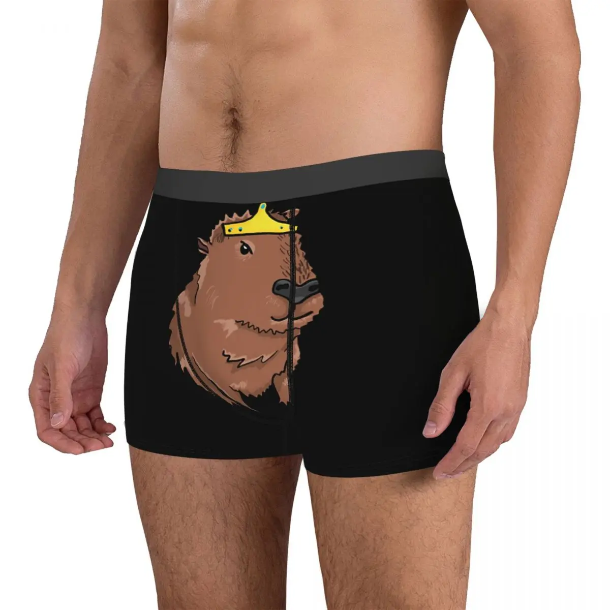 Miss Princess Man's Boxer Briefs Capybara Highly Breathable Underpants Top Quality Print Shorts Birthday Gifts 3