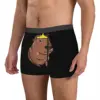Miss Princess Man's Boxer Briefs Capybara Highly Breathable Underpants Top Quality Print Shorts Birthday Gifts 3