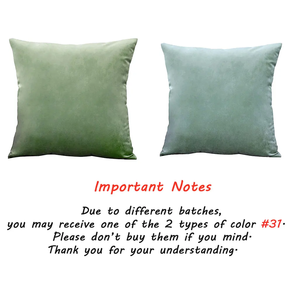 Velvet Throw Pillow Cover 6
