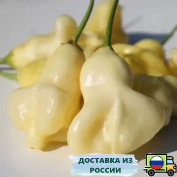 Изображение товара 0