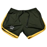 NOUVEAUX Shorts de sport d'été hommes pantalons de survêtement de fitness 12 couleurs pantalons courts respirants hommes gymnase séchage rapide survêtement maille hommes shorts de plage 2