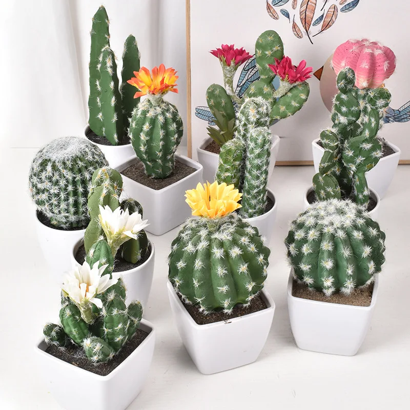 Mini decoración suculenta para el hogar, bonsái de cactus, maceta de plantas artificiales, Bola de cactus, flor blanca (incluye bandeja de flores)