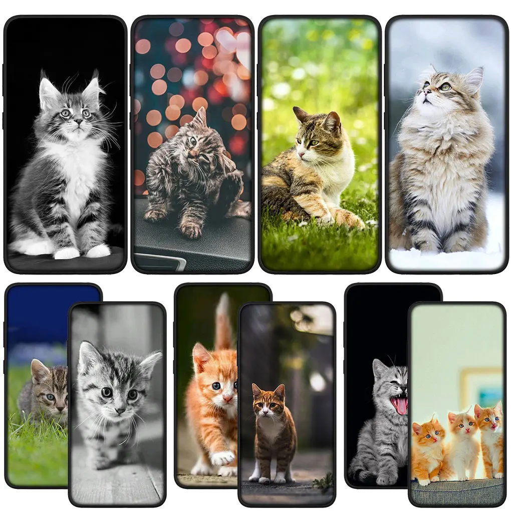 Adorable Kitten Cat Phone Case