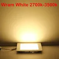 Warm White