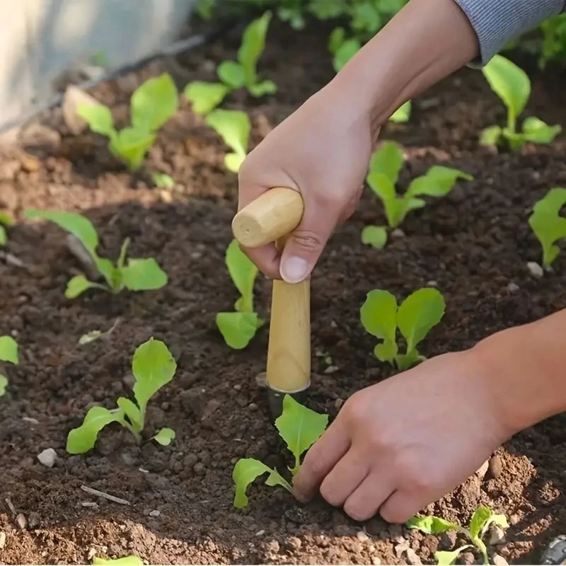 أداة يدوية من الفولاذ المقاوم للصدأ لزراعة البذور...