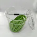 Green  bucke