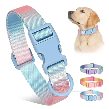 Gradient Nylon Dog Collar Adjustable 1