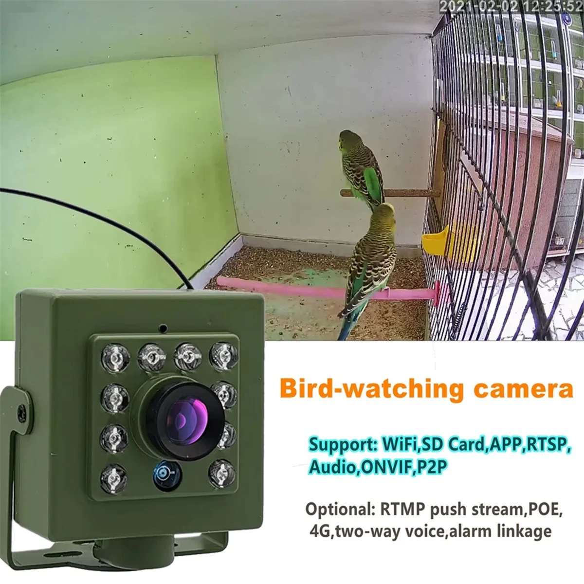 새로운 녹색 와이파이 새집 카메라 1920P 1080P IR 컷 야간 투시 미니 IP IPC 애완 동물 둥지 조류 관찰 2.8mm 렌즈 DC 12V 2A 2MP