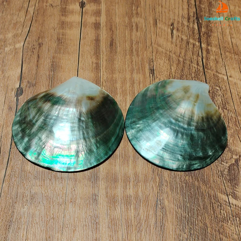 2 PC Black Mother of Pearl Shells Polished Pinctada Margarilifera Sea Shell Handmade Creative DIY Jewelry Beads Caviar Container natural shell ornaments
