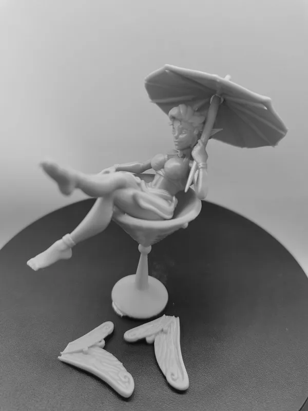 ƿ ĳ ̴ 1/24  ǱԾ 峭, ſ Ǹ    ŰƮ,   ̵ 