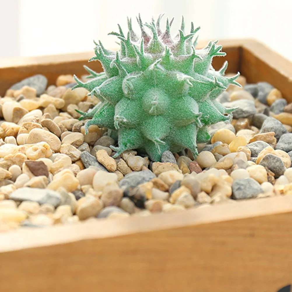 Mini Künstliche Sukkulenten Strömten Simulation Pflanze Gefälschte Kaktus Lotus Landschaft Dekorative Ornamente Home Garten Decor – Detail 25