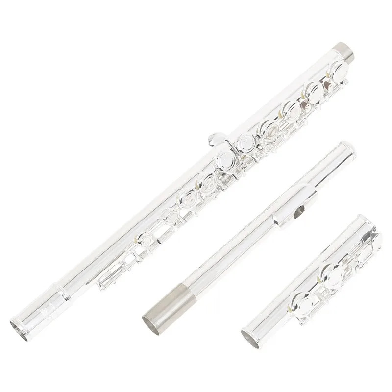 16 Keys C Flute Instrument Closed Hole for Beginners with Carrying Case Gloves Cleaning Kit Woodwind Instrument Flute