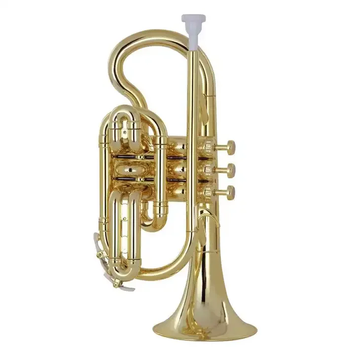 Plastic ABS Cornet instrument