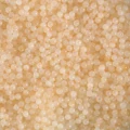 Light Orange
