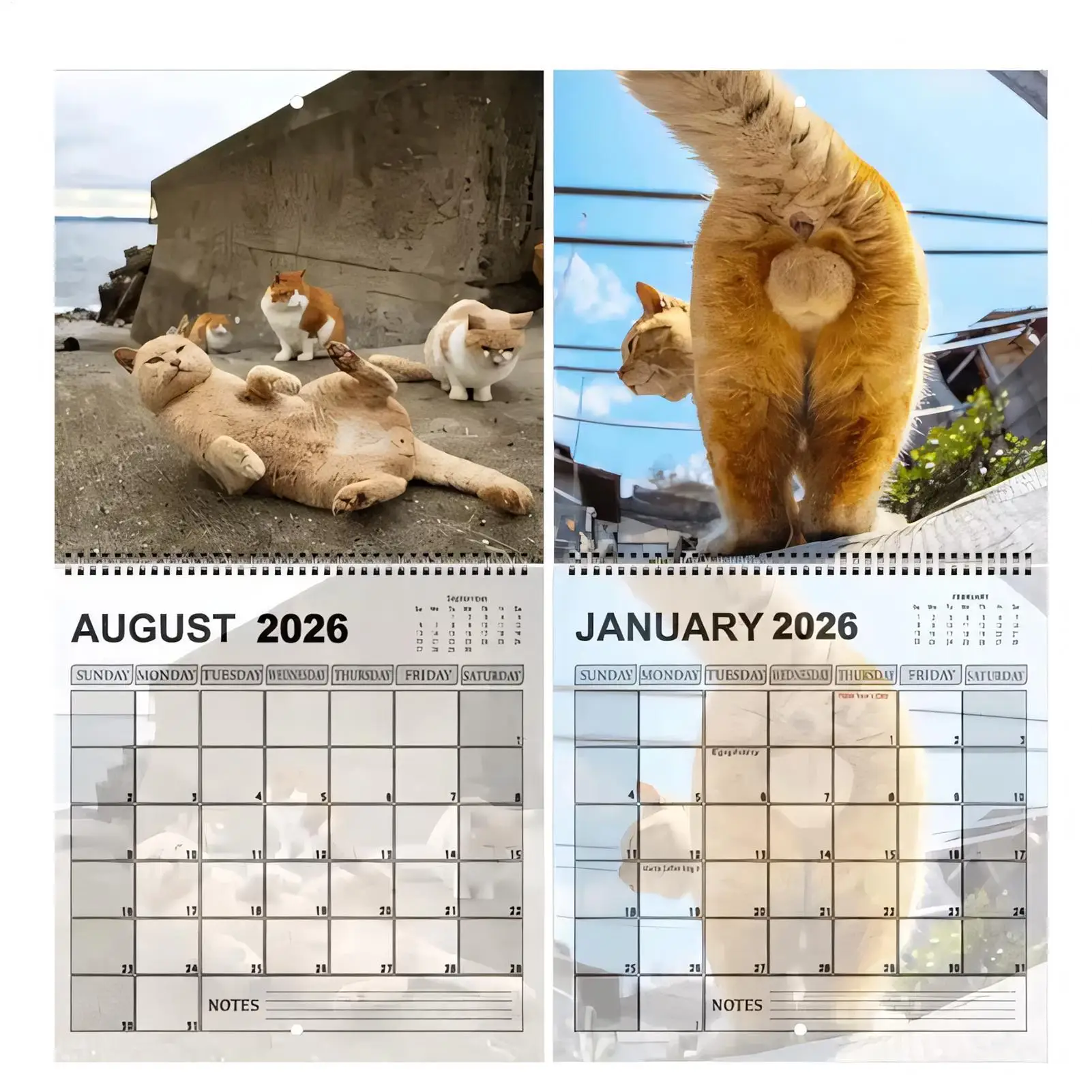 Divertente Calendario 2026 con Fori Anali di Gatti - Calendario Unico con Disegni Umoristici, Ideale per Frigorifero, Scrivania, Regali e Decorazioni per la Casa - immagine 5