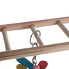 Bird Toy Ladder, Swing, Lifting Ring, Bird Biting Equipment, Peony Parrot Toy 3