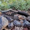 Outdoor Survival High Carbon Stainless Steel Camping Tactical Axe Multi-purpose Wild Adventure Mountain Axe Car Anti Combat Axe 4