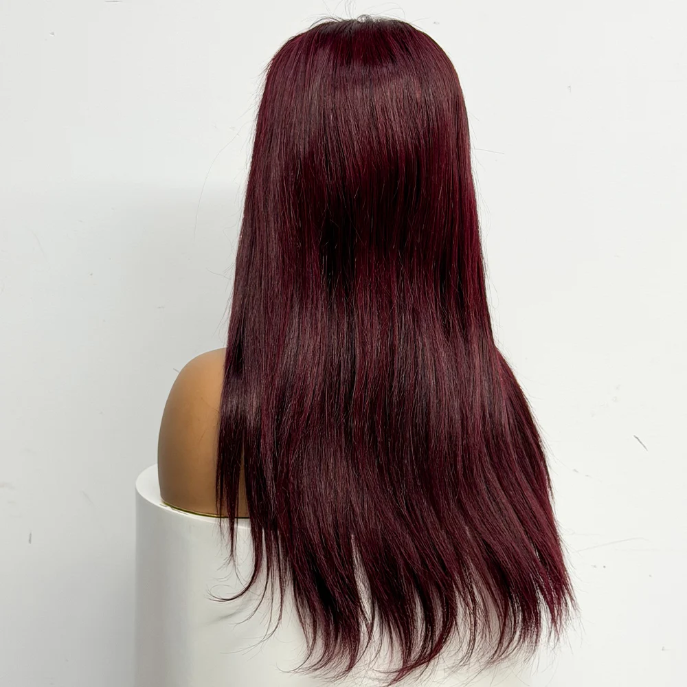 22 inches 280% Density 4x4 Lace Closure Straight Human Hair Wigs Straight Hair 100% Human Hair Colored Wigs For Black Women